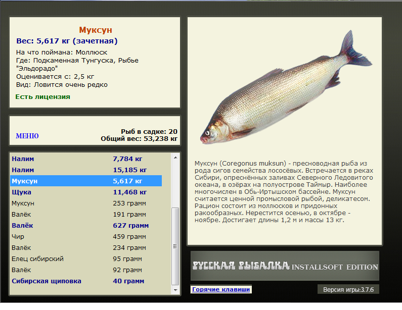 Рыбье 