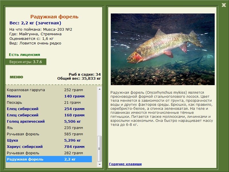 турниры • РУССКАЯ РЫБАЛКА