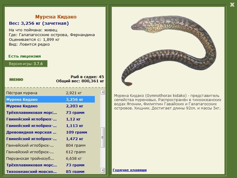 турниры • РУССКАЯ РЫБАЛКА