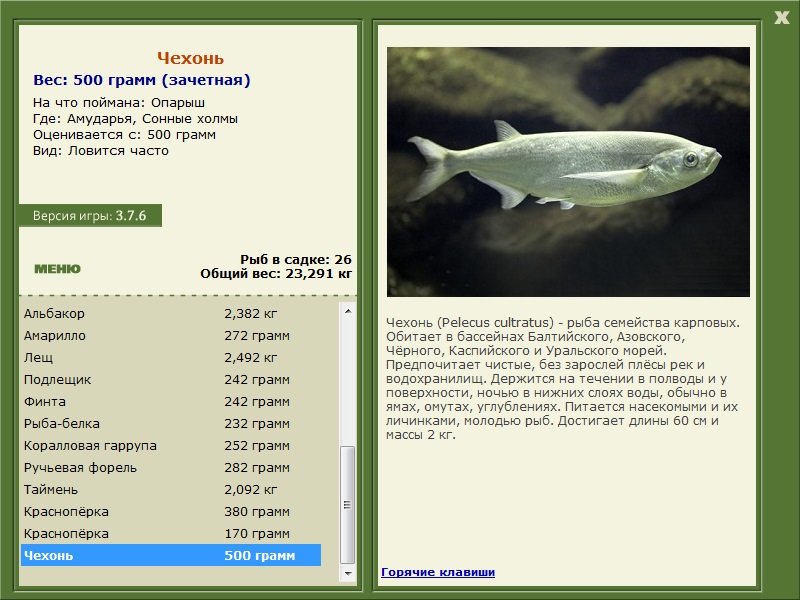 турниры • РУССКАЯ РЫБАЛКА