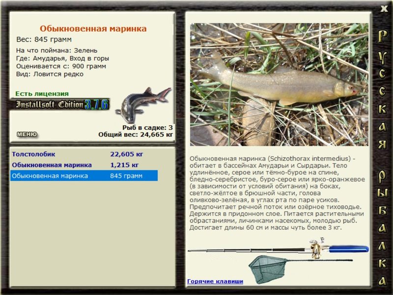 Вход в горы 