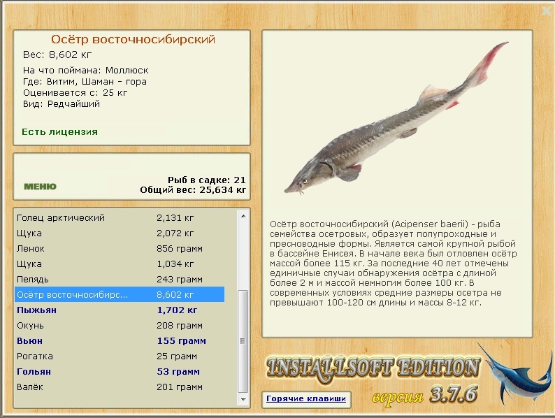 турниры • РУССКАЯ РЫБАЛКА