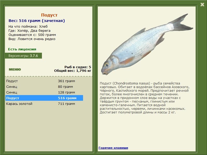 турниры • РУССКАЯ РЫБАЛКА