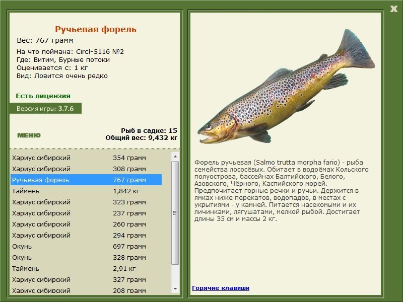 турниры • РУССКАЯ РЫБАЛКА