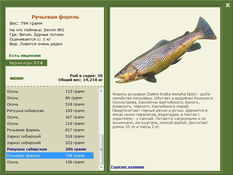турниры • РУССКАЯ РЫБАЛКА