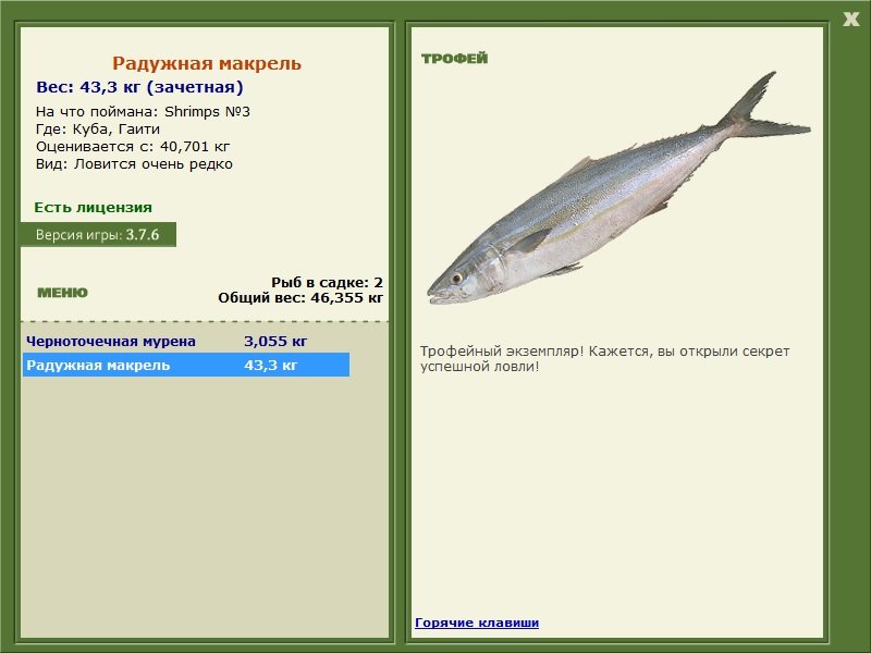 Гаити 