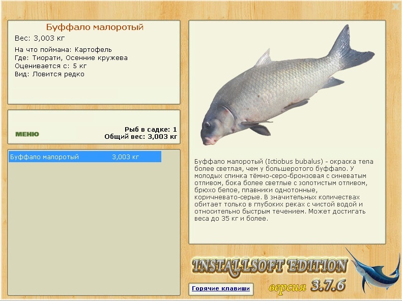 турниры • РУССКАЯ РЫБАЛКА