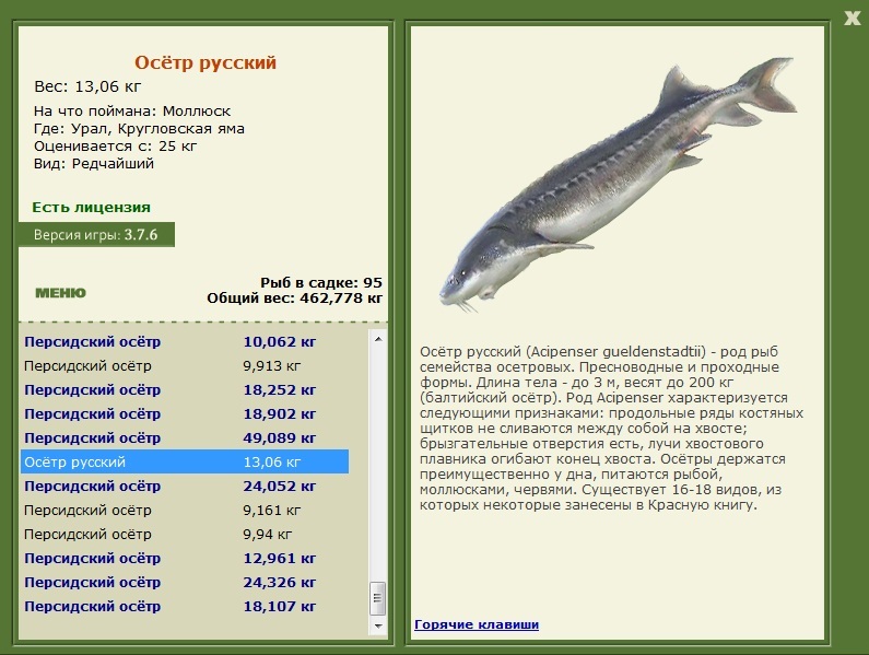 Кругловская яма 
