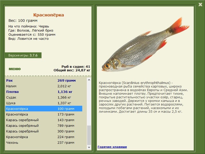 турниры • РУССКАЯ РЫБАЛКА