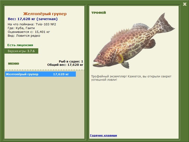 Желтопёрый групер 