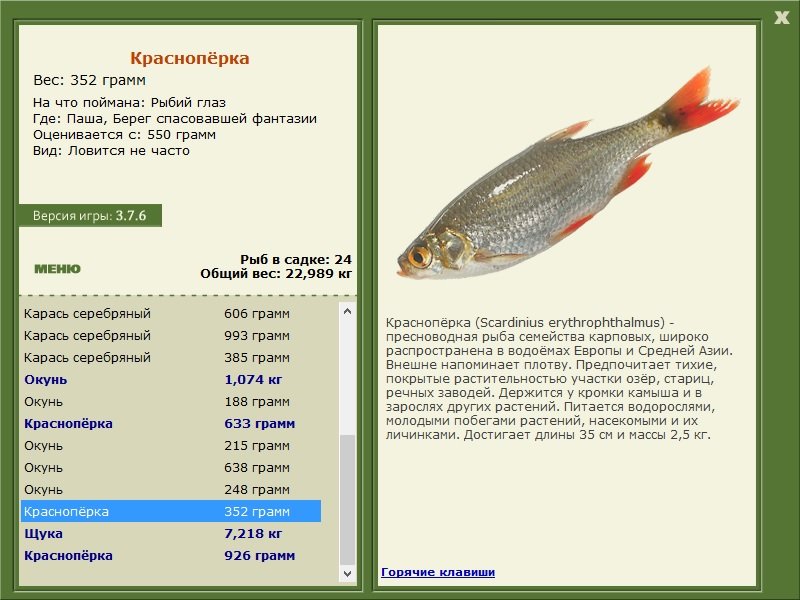 турниры • РУССКАЯ РЫБАЛКА