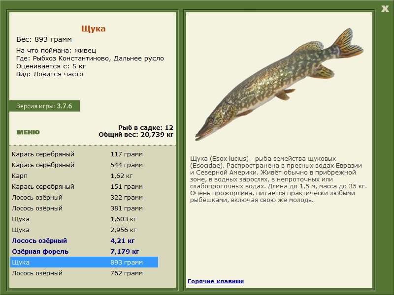 турниры • РУССКАЯ РЫБАЛКА