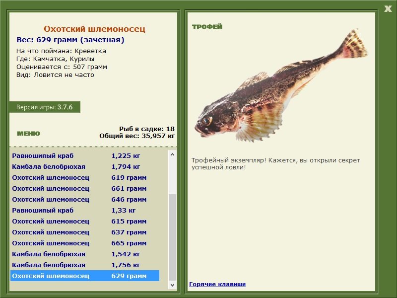 Охотский шлемоносец 