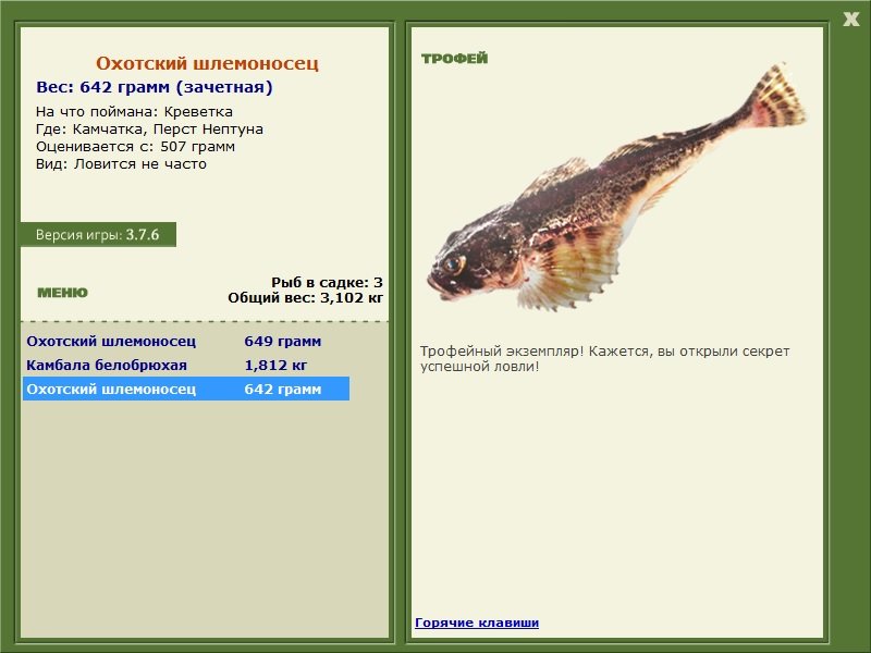 Охотский шлемоносец 