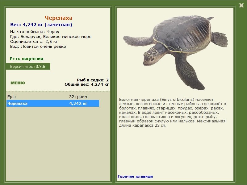 Великое минское море 