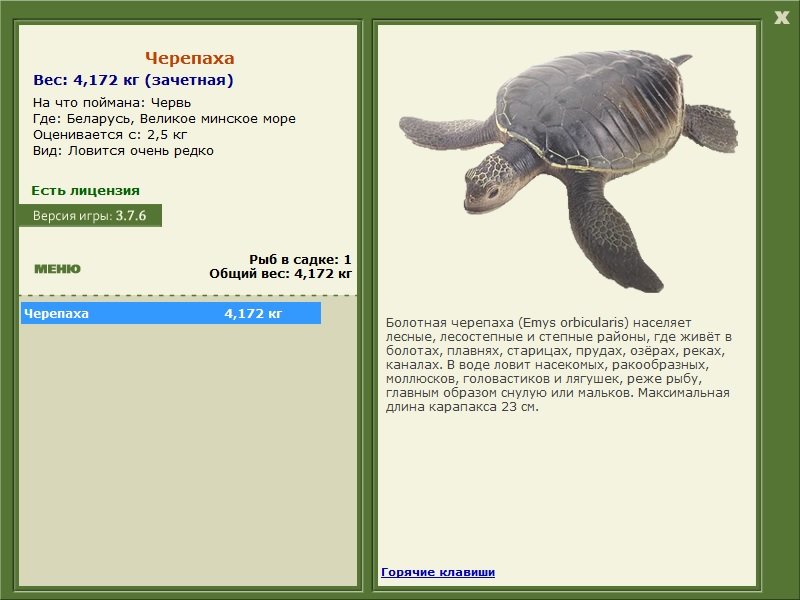 Великое минское море 