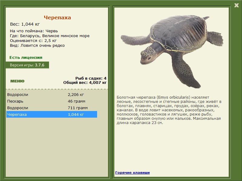 Великое минское море 