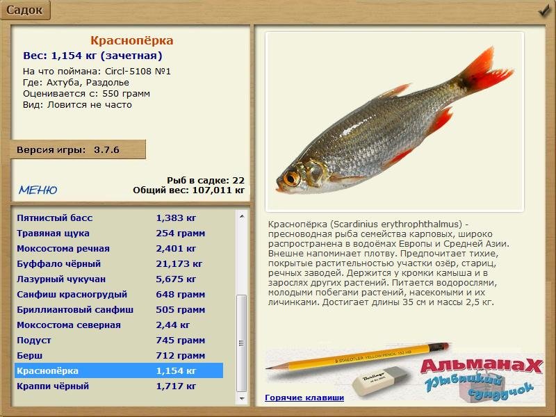 Раздолье 