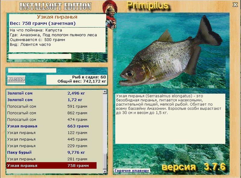 турниры • РУССКАЯ РЫБАЛКА