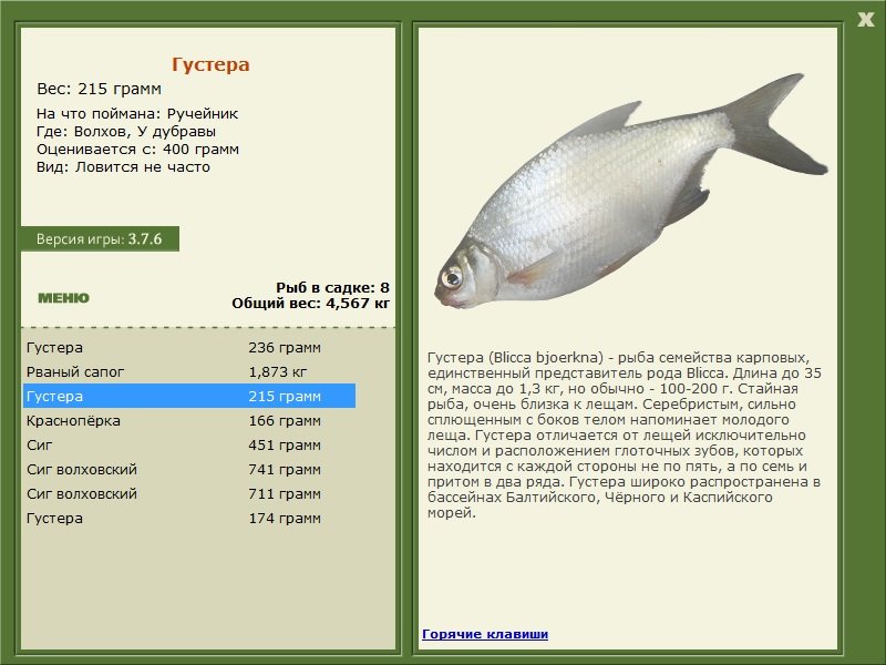 РУССКАЯ РЫБАЛКА Installsoft Edition 
