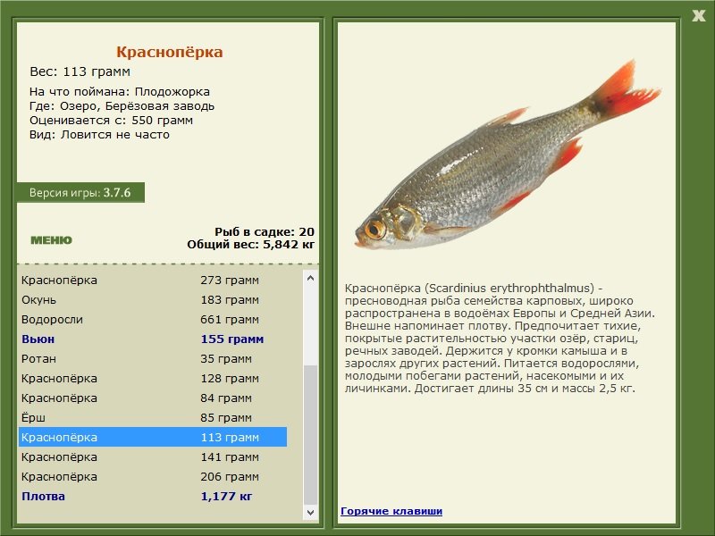 турниры • РУССКАЯ РЫБАЛКА