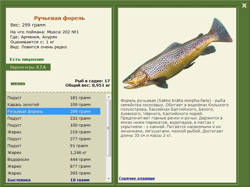 турниры • РУССКАЯ РЫБАЛКА
