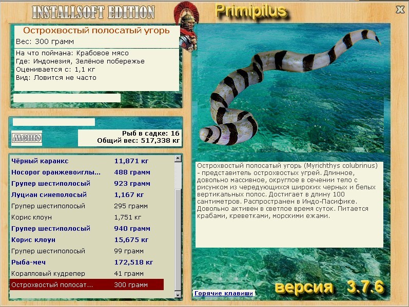 турниры • РУССКАЯ РЫБАЛКА