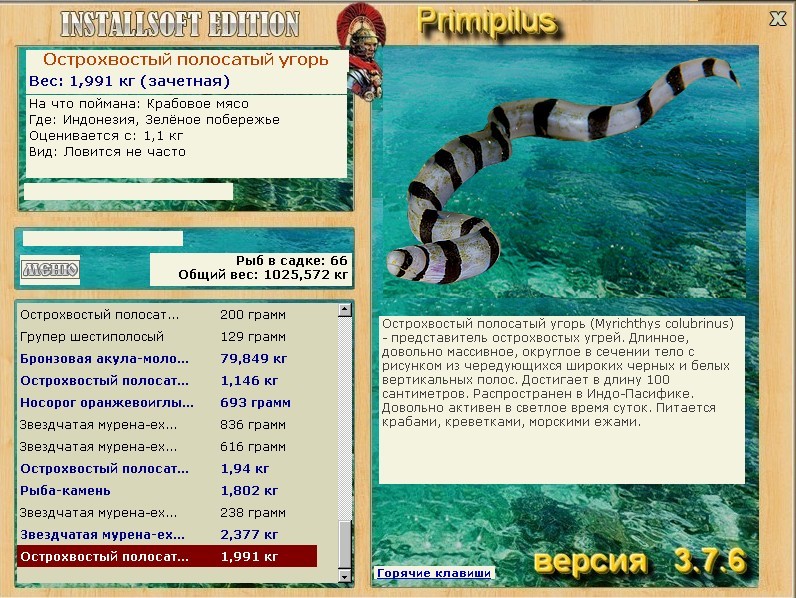 турниры • РУССКАЯ РЫБАЛКА