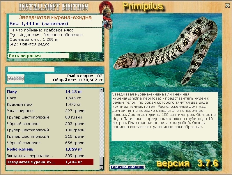 турниры • РУССКАЯ РЫБАЛКА