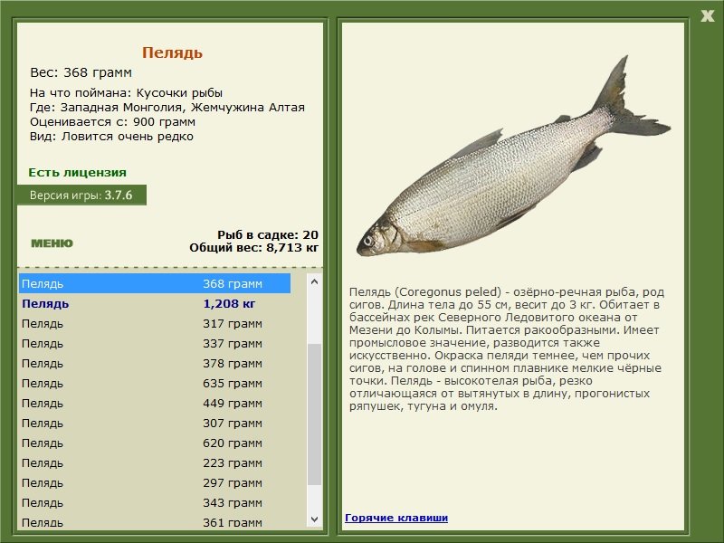 РУССКАЯ РЫБАЛКА Installsoft Edition 