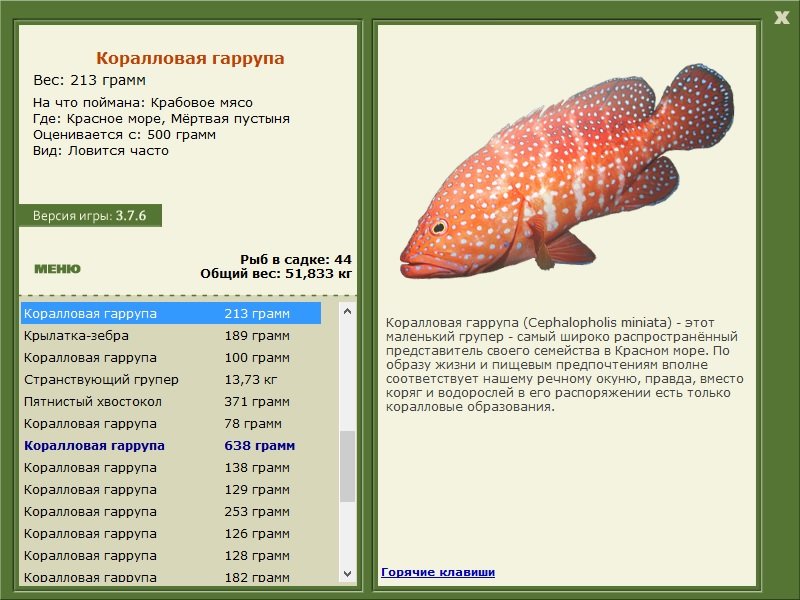 турниры • РУССКАЯ РЫБАЛКА