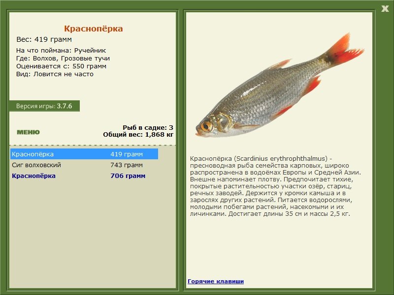 турниры • РУССКАЯ РЫБАЛКА