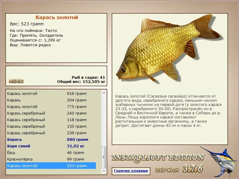 турниры • РУССКАЯ РЫБАЛКА