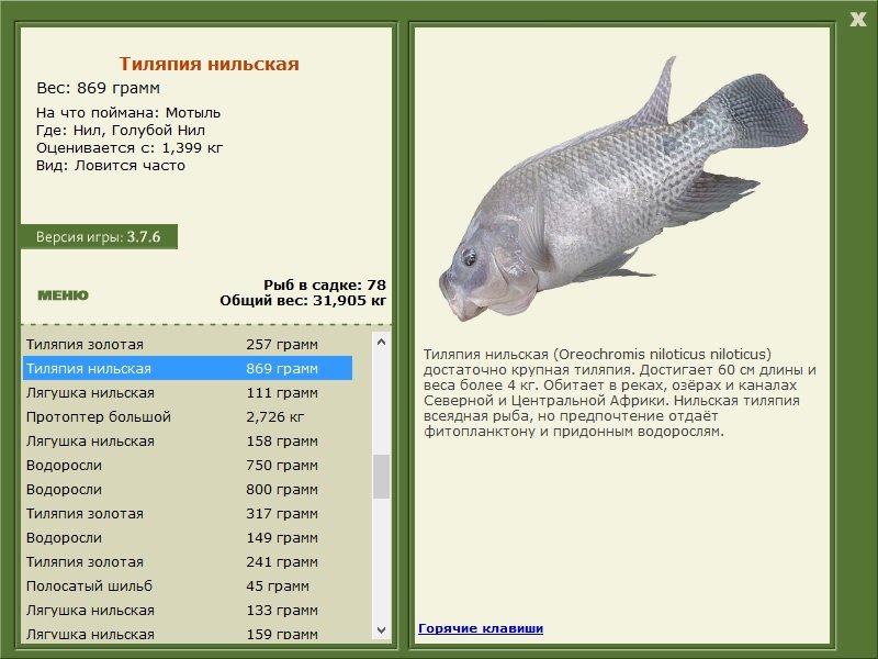 турниры • РУССКАЯ РЫБАЛКА