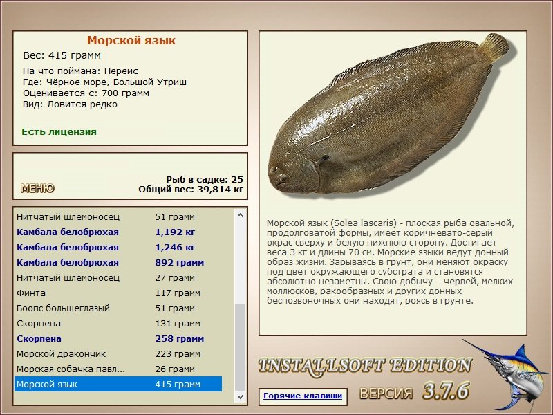 турниры • РУССКАЯ РЫБАЛКА