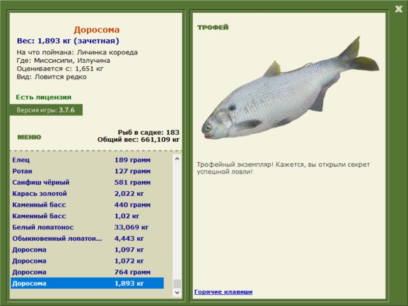 Доросома 