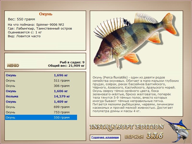 турниры • РУССКАЯ РЫБАЛКА