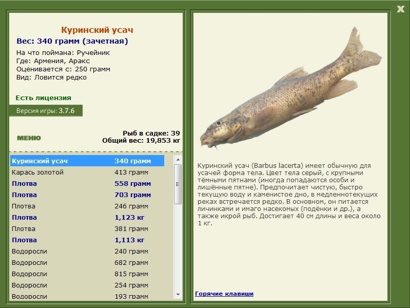 турниры • РУССКАЯ РЫБАЛКА