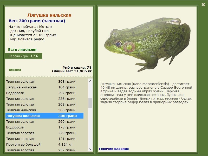 турниры • РУССКАЯ РЫБАЛКА