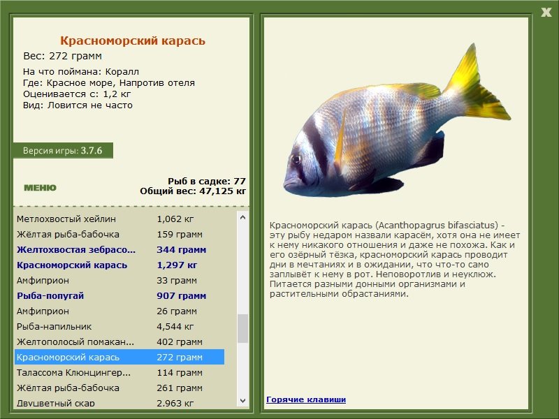 турниры • РУССКАЯ РЫБАЛКА