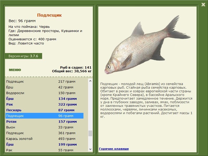 турниры • РУССКАЯ РЫБАЛКА