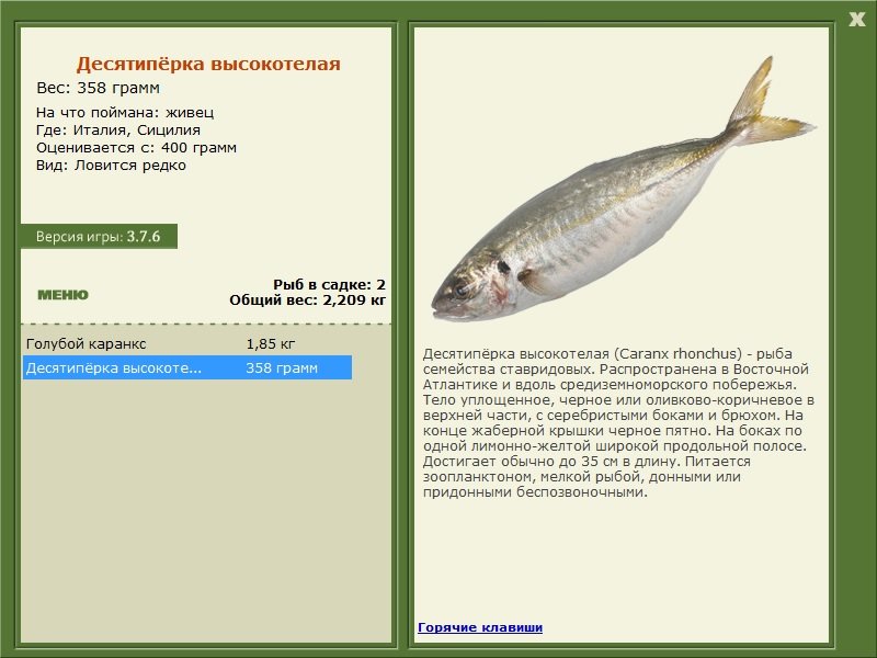 РУССКАЯ РЫБАЛКА Installsoft Edition 