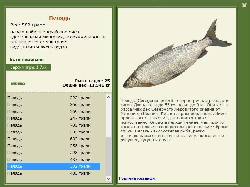 турниры • РУССКАЯ РЫБАЛКА