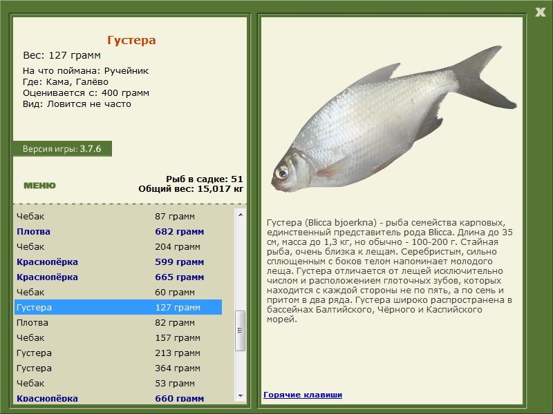 турниры • РУССКАЯ РЫБАЛКА