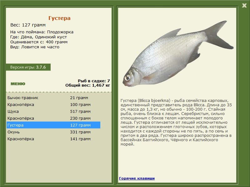 РУССКАЯ РЫБАЛКА Installsoft Edition 