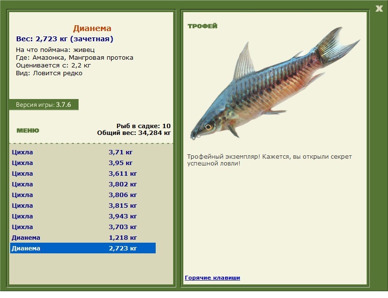Дианема 