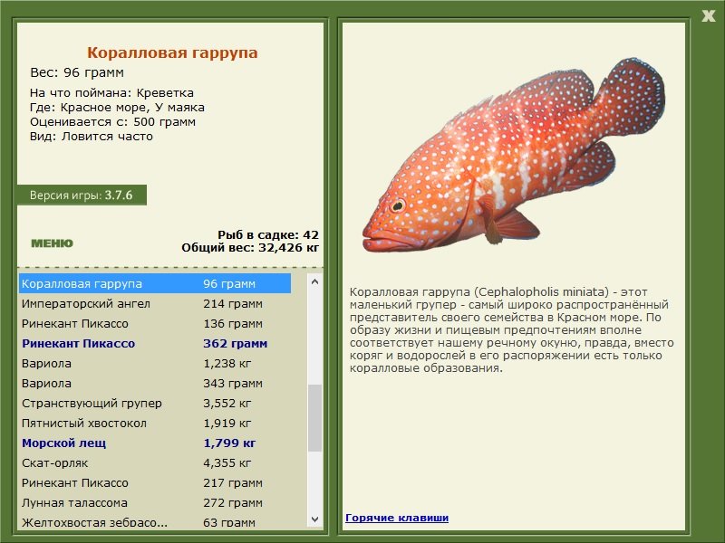 турниры • РУССКАЯ РЫБАЛКА