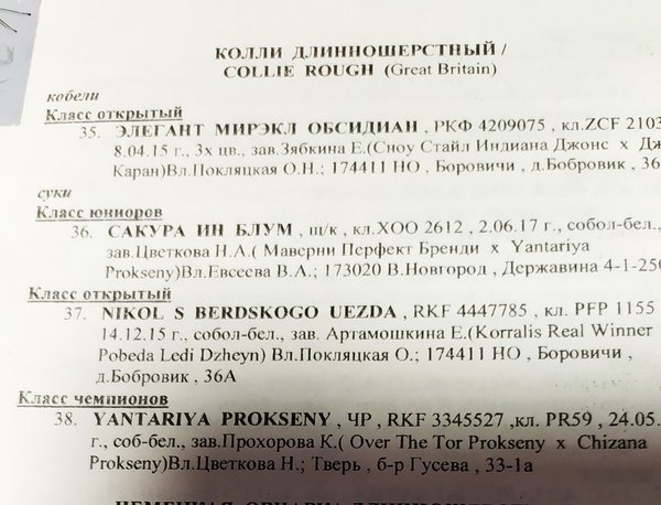 Изображение