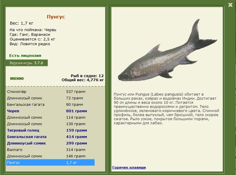 турниры • РУССКАЯ РЫБАЛКА