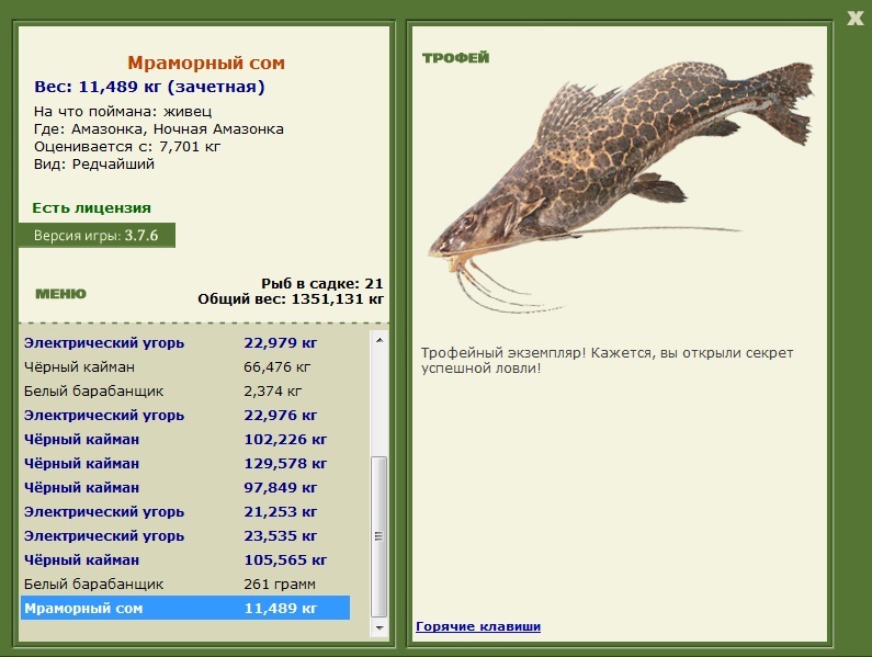 Живец 